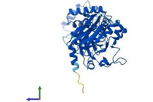 AlphaFold protein structure predicition of Human Recombinant SEC14L4 Protein, UniprotID Q9UDX3