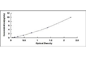 Typical standard curve (ATG7 Kit ELISA)