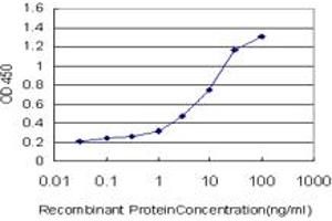 Detection limit for recombinant GST tagged C13orf24 is approximately 0.