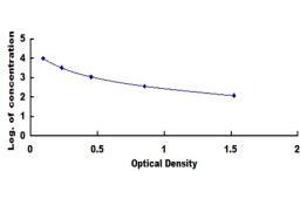 Neuromedin U (NMU) ELISA Kit