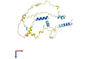 Myozenin 2 (MYOZ2) (AA 1-264) protein (His tag)