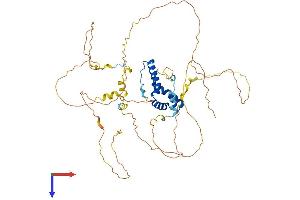 AlphaFold protein structure predicition of Human Recombinant SOX9 Protein, UniprotID P48436