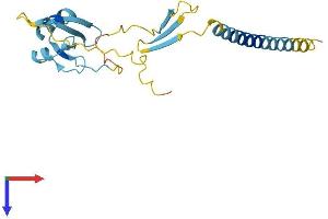 AlphaFold protein structure predicition of Human Recombinant CIDEB Protein, UniprotID Q9UHD4