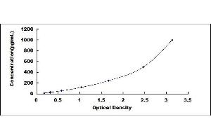 Typical standard curve (CNTF Kit ELISA)