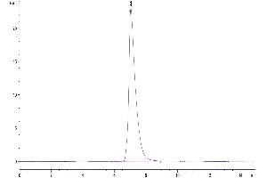 The purity of Biotinylated Mouse ALCAM/CD166 is greater than 95 % as determined by SEC-HPLC.