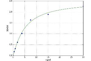 Fibrinogen gamma Chain (FGG) ELISA Kit