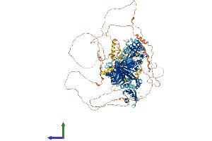 AlphaFold protein structure predicition of Human Recombinant SYNJ2 Protein, UniprotID O15056