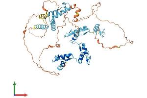 AlphaFold protein structure predicition of Human Recombinant ZSCAN25 Protein, UniprotID Q6NSZ9