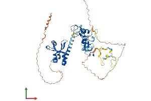 AlphaFold protein structure predicition of Mouse Recombinant Phf10 Protein, UniprotID Q9D8M7