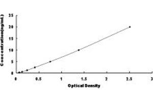 Typical standard curve (NBC4 Kit ELISA)
