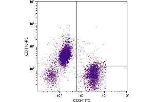 Human peripheral blood lymphocytes, monocytes, and granulocytes were stained with Mouse Anti-Human CD11c-PE. (CD11c anticorps  (PE))