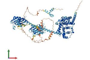 AlphaFold protein structure predicition of Human Recombinant PDE11A Protein, UniprotID Q9HCR9