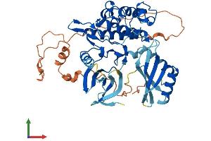AlphaFold protein structure predicition of Human Recombinant CHEK1 Protein, UniprotID O14757