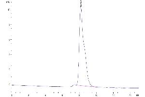 The purity of Mouse DLK1 is greater than 95 % as determined by SEC-HPLC.