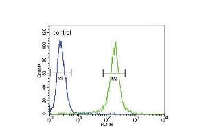 Flow cytometric analysis of 293 cells (right histogram) compared to a negative control cell (left histogram).
