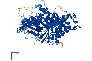 AlphaFold protein structure predicition of Human Recombinant TUBG2 Protein, UniprotID Q9NRH3