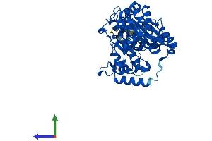 AlphaFold protein structure predicition of Human Recombinant GCNT3 Protein, UniprotID O95395