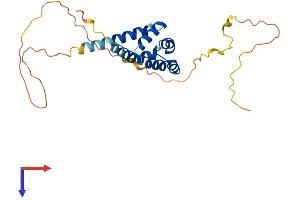 AlphaFold protein structure predicition of Mouse Recombinant Bcl10 Protein, UniprotID Q9Z0H7