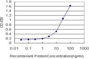 Detection limit for recombinant GST tagged STEAP1 is approximately 0. (STEAP1 anticorps  (AA 1-339))