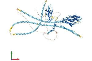 AlphaFold protein structure predicition of Mouse Recombinant Dctn1 Protein, UniprotID O08788