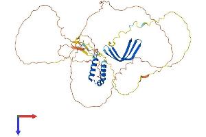 AlphaFold protein structure predicition of Mouse Recombinant Gtf2a1l Protein, UniprotID Q8R4I4