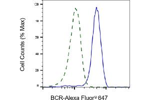 Validation of BCR knockdown using flow cytometry.