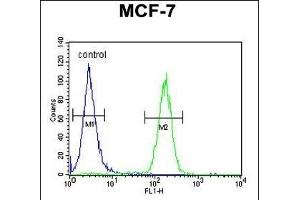 THOC7 Antibody (C-term) (ABIN1881883 and ABIN2843119) flow cytometric analysis of MCF-7 cells (right histogram) compared to a negative control cell (left histogram). (THOC7 anticorps  (C-Term))
