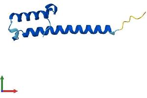 AlphaFold protein structure predicition of Mouse Recombinant Cmc2 Protein, UniprotID Q8K199