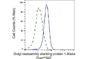 Validation of Golgi reassembly stacking protein 1 knockdown using flow cytometry. (Recombinant GORASP1 anticorps)