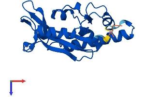 AlphaFold protein structure predicition of Human Recombinant ISG20 Protein, UniprotID Q96AZ6
