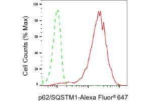 Flow cytometric analysis of p62/SQSTM1 expression in HepG2 cells using p62/SQSTM1 antibody (ABIN7800298), 1:2,000). (Recombinant SQSTM1 anticorps)