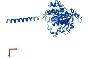 AlphaFold protein structure predicition of Mouse Recombinant St3gal3 Protein, UniprotID P97325