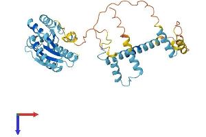 AlphaFold protein structure predicition of Human Recombinant PSMD4 Protein, UniprotID P55036