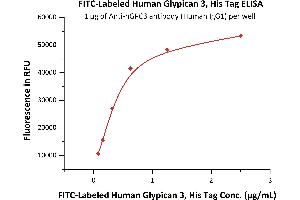Immobilized A antibody (Human IgG1) at 10 μg/mL (100 μL/well) can bind Fed Human Glypican 3, His Tag (ABIN6731253,ABIN6809900) with a linear range of 0.