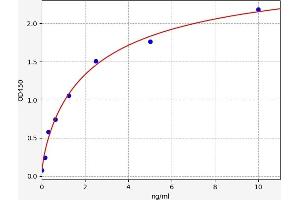 Cadherin 2 (CDH2) ELISA Kit