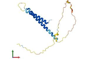 AlphaFold protein structure predicition of Mouse Recombinant Bap18 Protein, UniprotID Q9DCT6