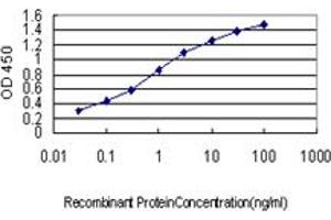Detection limit for recombinant GST tagged BHLHB2 is approximately 0.