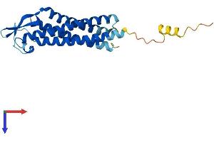 Transmembrane Protein 179B (TMEM179B) (AA 1-219) protein (His tag)