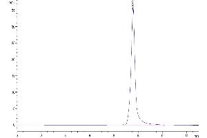 The purity of Biotinylated Human ENPP-3(48-157) is greater than 95 % as determined by SEC-HPLC.