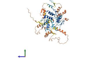 AlphaFold protein structure predicition of Human Recombinant ZNF559 Protein, UniprotID Q9BR84