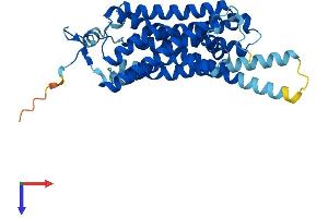 Trace Amine-Associated Receptor 8A (TAAR8A) (AA 1-344) protein (His tag)