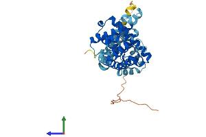 AlphaFold protein structure predicition of Human Recombinant LETMD1 Protein, UniprotID Q6P1Q0