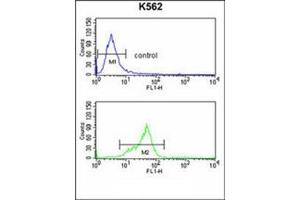 Flow cytometry analysis of K562 cells using GNAO1 Antibody (C-term) Cat. (G Protein alpha 0 (AA 299-328), (C-Term) anticorps)