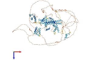 AlphaFold protein structure predicition of Human Recombinant SUGP2 Protein, UniprotID Q8IX01