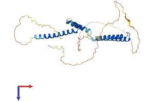 AlphaFold protein structure predicition of Human Recombinant HEY1 Protein, UniprotID Q9Y5J3