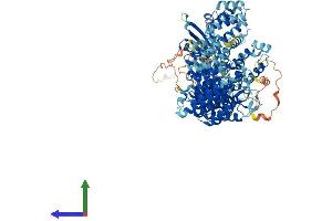 AlphaFold protein structure predicition of Human Recombinant ZSWIM4 Protein, UniprotID Q9H7M6
