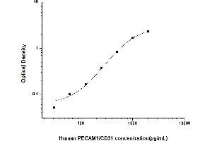 Platelet/endothelial Cell Adhesion Molecule (PECAM1) ELISA Kit