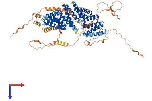 AlphaFold protein structure predicition of Mouse Recombinant Gpsm1 Protein, UniprotID Q6IR34