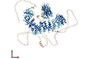 AlphaFold protein structure predicition of Mouse Recombinant Ap3b1 Protein, UniprotID Q9Z1T1