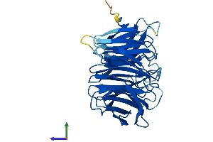 AlphaFold protein structure predicition of Human Recombinant NUP37 Protein, UniprotID Q8NFH4